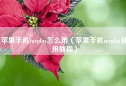 苹果手机carplay怎么用（苹果手机carplay使用教程）