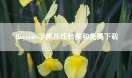 Hugmate字体在线转换和免费下载