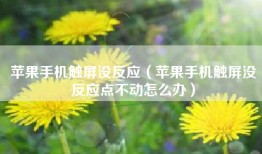 苹果手机触屏没反应（苹果手机触屏没反应点不动怎么办）