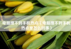 电脑搜不到手机热点（电脑搜不到手机热点是怎么回事）