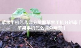 苹果手机怎么调分辨率苹果手机分辨率「苹果手机怎么调分辨率」