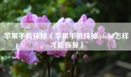 苹果手机抹掉（苹果手机抹掉iphone怎样才能恢复）