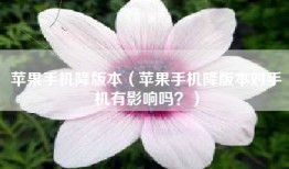 苹果手机降版本（苹果手机降版本对手机有影响吗？）