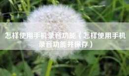 怎样使用手机录音功能（怎样使用手机录音功能并保存）