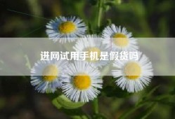 进网试用手机是假货吗