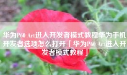 华为P60 Art进入开发者模式教程华为手机开发者选项怎么打开「华为P60 Art进入开发者模式教程」