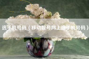 选手机号码（移动靓号网上选手机号码）