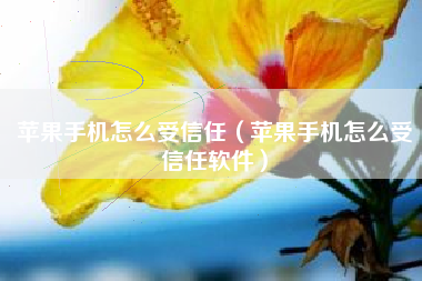 苹果手机怎么受信任（苹果手机怎么受信任软件）