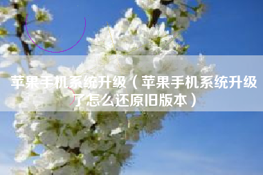 苹果手机系统升级（苹果手机系统升级了怎么还原旧版本）