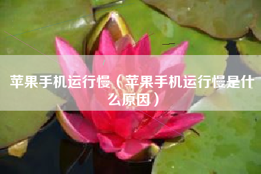 苹果手机运行慢（苹果手机运行慢是什么原因）