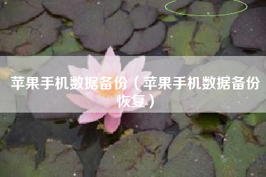 苹果手机数据备份（苹果手机数据备份恢复）