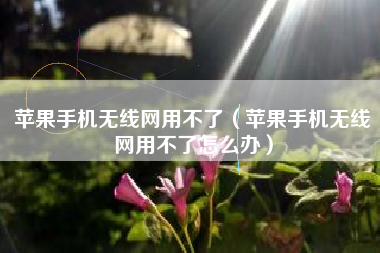 苹果手机无线网用不了（苹果手机无线网用不了怎么办）